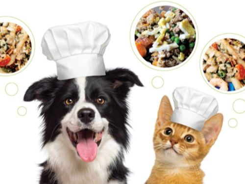 next generation pet food manufacturers association